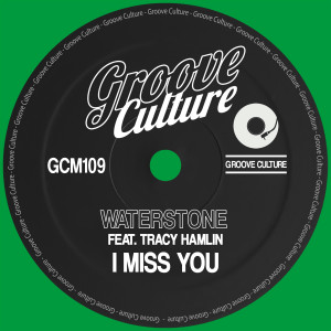 Listen to I Miss You (Extended Mix) song with lyrics from Waterstone