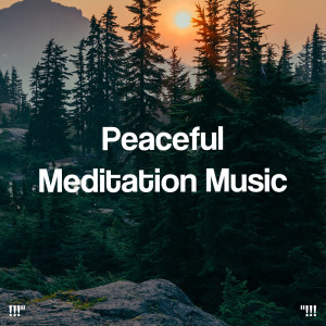 อัลบัม "!!! Peaceful Meditation Music !!!" ศิลปิน Sleep Sound Library