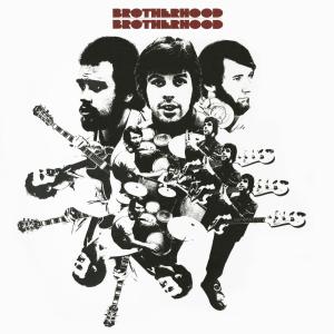收聽The Brotherhood的California Dreamin'歌詞歌曲