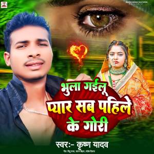 收聽Krishna Yadav的Bhula Gailu Pyar Sab Pahile Ke Gori歌詞歌曲