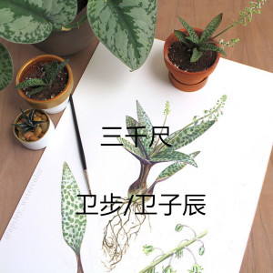 收听卫步的三千尺 (伴奏)歌词歌曲