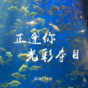 Listen to 正逢你光彩夺目 song with lyrics from 锡钧