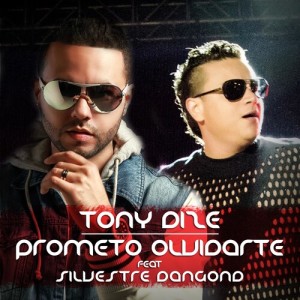 Album Prometo Olvidarte (Vallenato Version) from Tony Dize