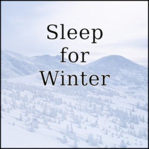 ดาวน์โหลดและฟังเพลง Music for Sleep on a Cold Winter Night "Heater" พร้อมเนื้อเพลงจาก Sleep Music Laboratory