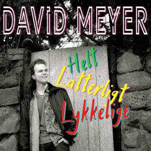 收聽David Meyer的Helt Latterligt Lykkelige歌詞歌曲