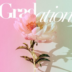 Album Gradation from SAKAMOTO SHINNOSUKE
