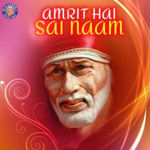 Dengarkan lagu Sai Baba Aarti nyanyian Dhananjay Mhaskar dengan lirik