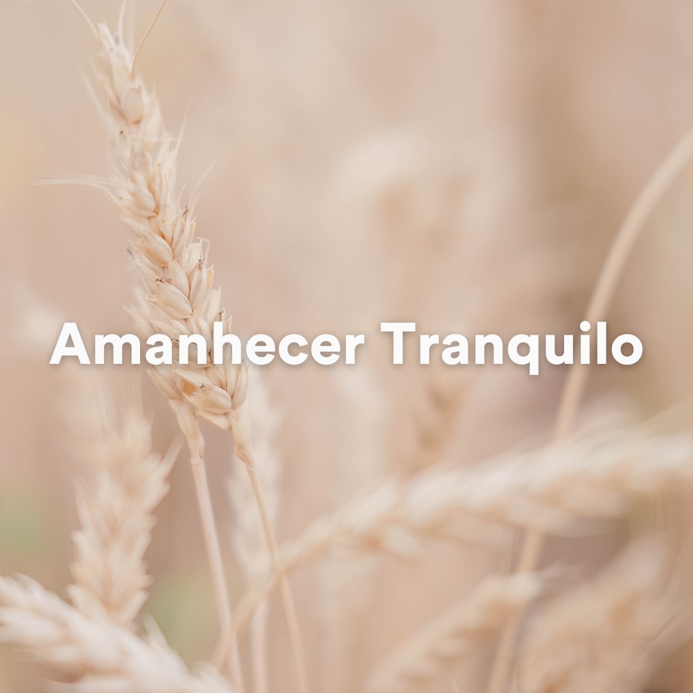 Amanhecer Tranquilo (Música Relaxante para Meditação e Sono)