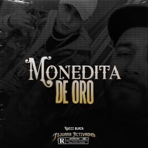 Tijuana Activado的專輯Monedita de Oro (feat. Gucci Black 686) (Explicit)