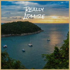 Listen to Such Order song with lyrics from Jolan Killy