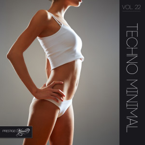 Album Techno Minimal, Vol. 22 from Various