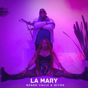 收聽Negro Valle的LA MARY (Explicit)歌詞歌曲
