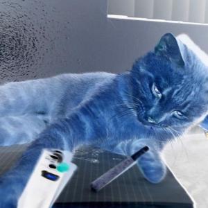 收聽xstasyslim的bag (Explicit)歌詞歌曲