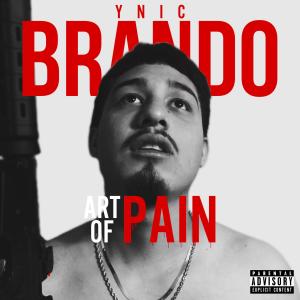 อัลบัม Art of Pain (Explicit) ศิลปิน YNIC Brando