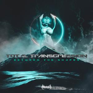 Various Artists的專輯Total Transgression Ch. 1.5.: Between The Shapes