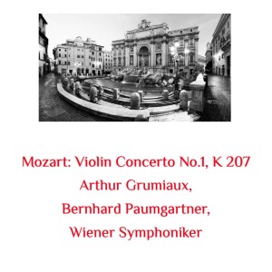 Mozart: Violin Concerto No.1, K 207