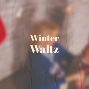 Listen to Winter Waltz song with lyrics from Anner Satt