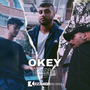 Listen to Okey Cano song with lyrics from E.v.o