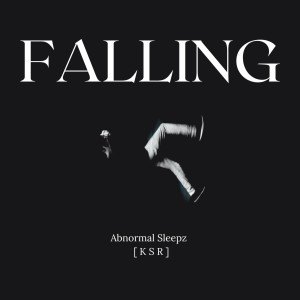 Album Falling from [ K S R ]