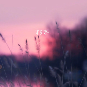 Album 朽木 from 蒋芸