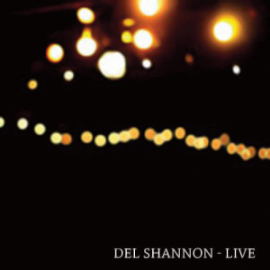 ดาวน์โหลดและฟังเพลง Handyman พร้อมเนื้อเพลงจาก Del Shannon