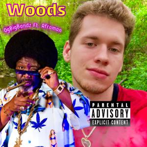 Afroman的專輯Woods (feat. Afroman) [Explicit]
