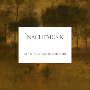 收聽Ingrid Haebler的Mozart: Piano Concerto No. 3 in D Major, K. 40: II. Andante歌詞歌曲