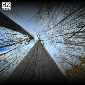 收聽Gya的Haven歌詞歌曲