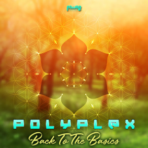 Polyplex的專輯Back to the Basics