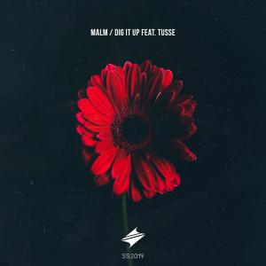 Dengarkan Dig It Up(feat. Tusse) lagu dari Malm dengan lirik