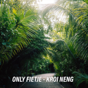 Listen to Den Plei Yu Matie song with lyrics from Only Fietje