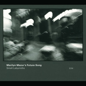 ดาวน์โหลดและฟังเพลง The Dreamcatcher พร้อมเนื้อเพลงจาก Marilyn Mazur's Future Song