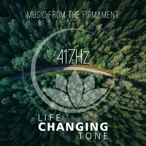 Listen to Remove Negative Blocks song with lyrics from Music from the Firmament