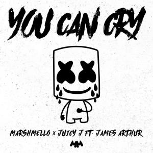 收聽Marshmello的You Can Cry歌詞歌曲