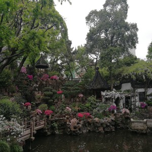 收聽貝貝的春來歌詞歌曲