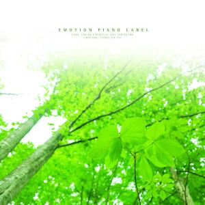 Album Pleasant New Age Piano Melody And Sound Of Nature (Nature Ver.) oleh Various Artists