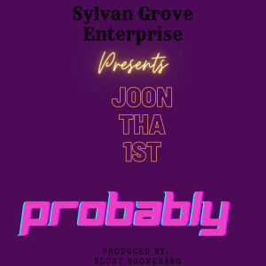 ดาวน์โหลดและฟังเพลง Probably (Explicit) พร้อมเนื้อเพลงจาก Joon Tha 1st