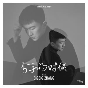 收聽張大大的分手的時候歌詞歌曲