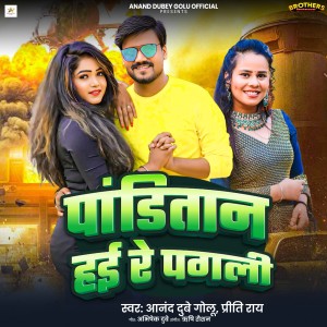 Listen to Panditan Hai Re Pagli song with lyrics from Anand Dubey Golu