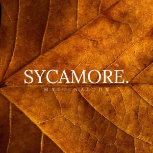 Listen to Sycamore. song with lyrics from Matt Nalton