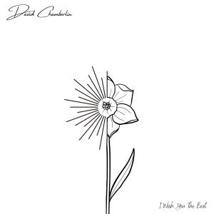 ดาวน์โหลดและฟังเพลง I Wish You The Best พร้อมเนื้อเพลงจาก David Chamberlin