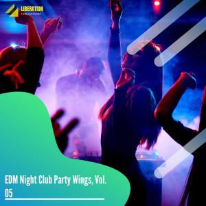 Various的专辑EDM Night Club Party Wings, Vol. 05