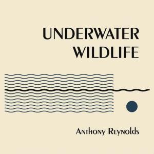 收聽Anthony Reynolds的Johnny Marr and Other Sailors歌詞歌曲