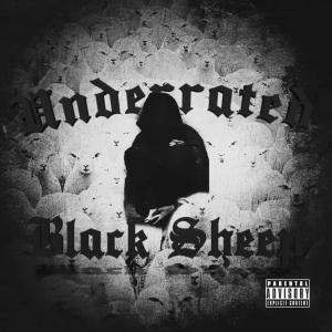 收聽Pasorockout的The Story Of Nasir (feat. Chubbs) (Explicit)歌詞歌曲