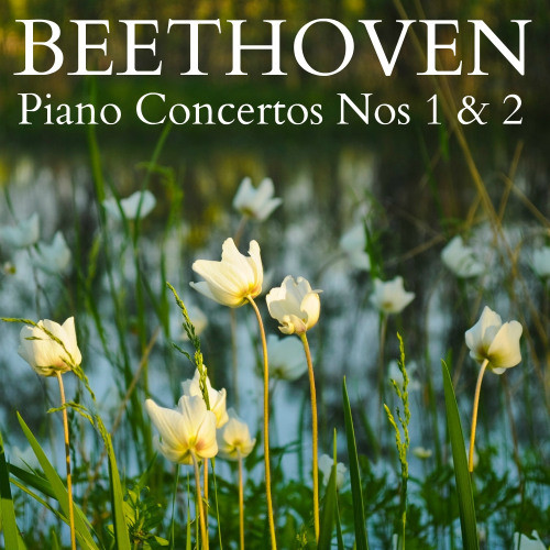 Piano Concerto No. 1 in C Major, Op. 15: Allegro con Brio