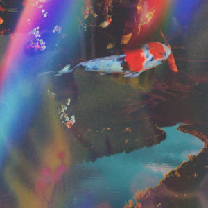 ดาวน์โหลดและฟังเพลง in the river พร้อมเนื้อเพลงจาก chief.