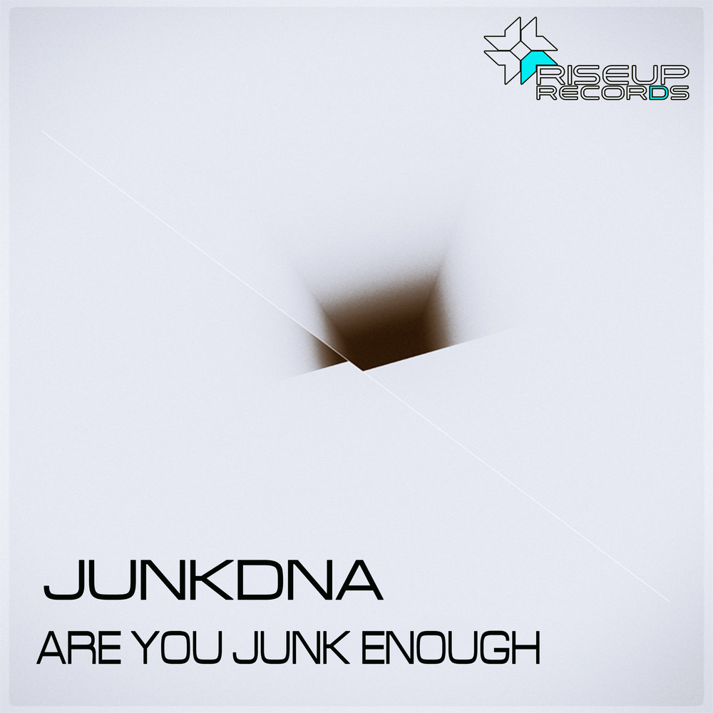 Are You Junk Enough (Original Mix)