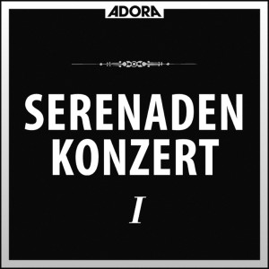 Südwestdeutsche Kammerphilharmonie的專輯Dvorak: Serenadenkonzert, Op. 22 - Tschechische Suit, Op. 39