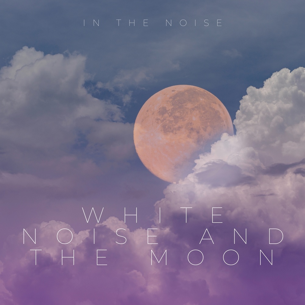 The White Noise of the Horizon