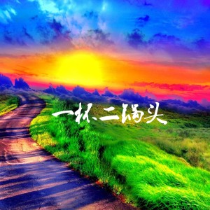 Listen to 一杯二锅头 song with lyrics from 海平